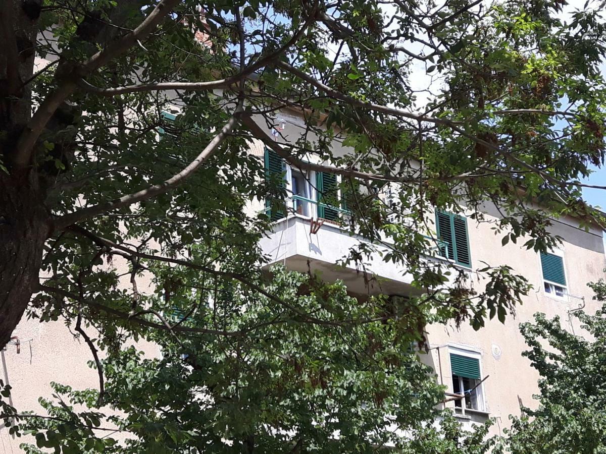 Apartment Sunny Place Zadar Eksteriør billede